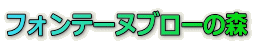 tHe[ku[̐X